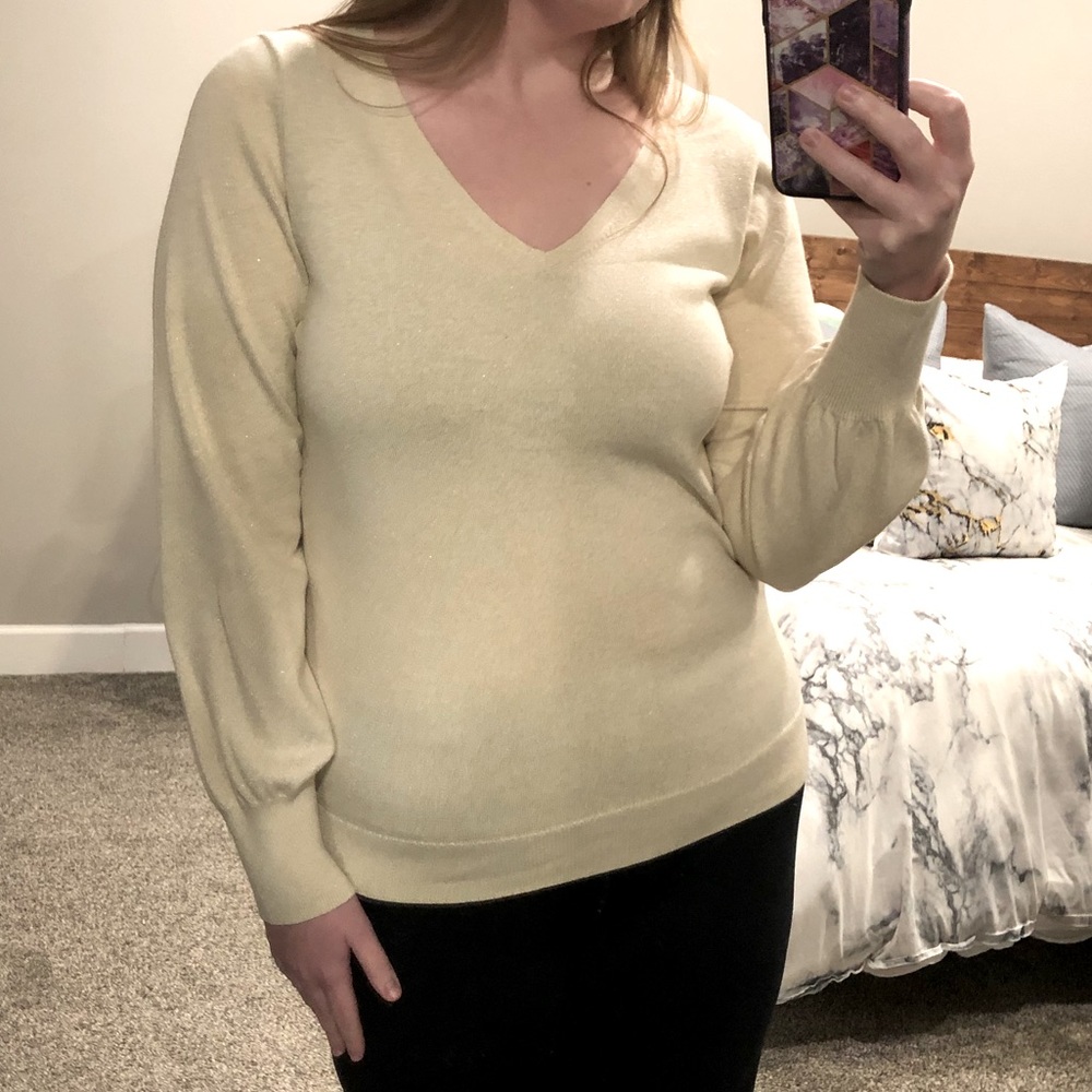 Ann Taylor V-Neck Sweater - Size L
